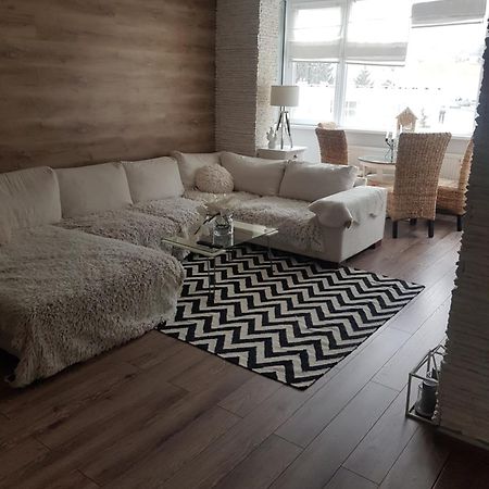 Winter Dream Home 브라쇼브 외부 사진